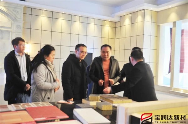 熱烈歡迎我市常務(wù)副市長馮援召一行蒞臨寶潤達