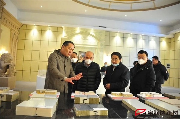 省服務業(yè)辦和省農村公路處領導蒞臨寶潤達調研